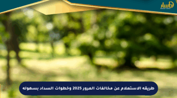طريقة الاستعلام عن مخالفات المرور 2025 وخطوات السداد بسهولة